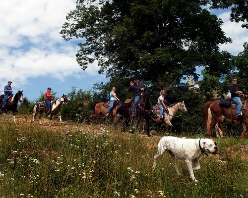 riders